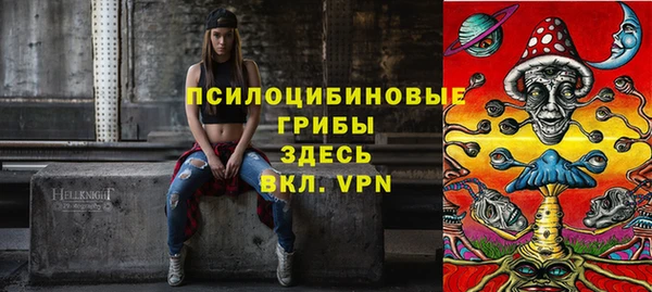 молекула духа Пестово