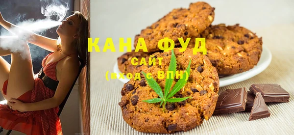 молекула духа Пестово
