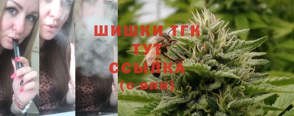 apvp Балахна