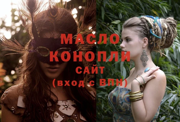 молекула духа Пестово