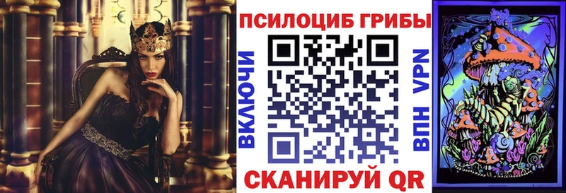 darknet какой сайт Свободный Галлюциногенные грибы прущие грибы hydra ССЫЛКА